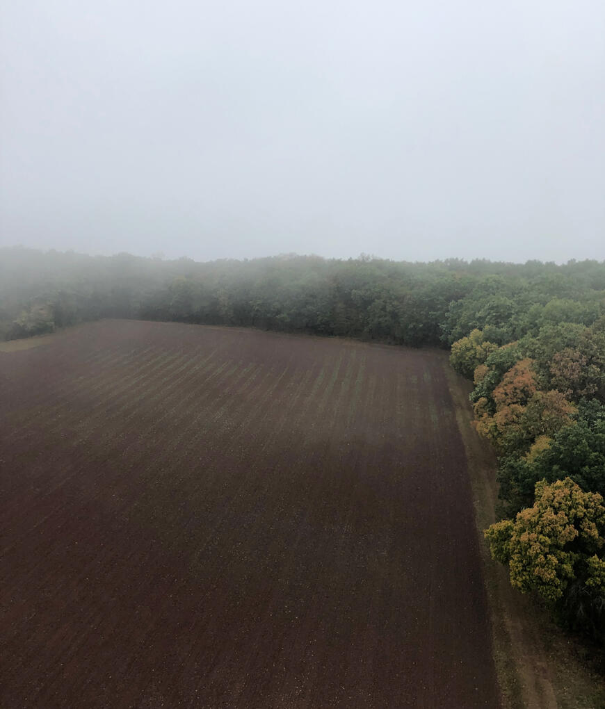 Blick Richtung Osten