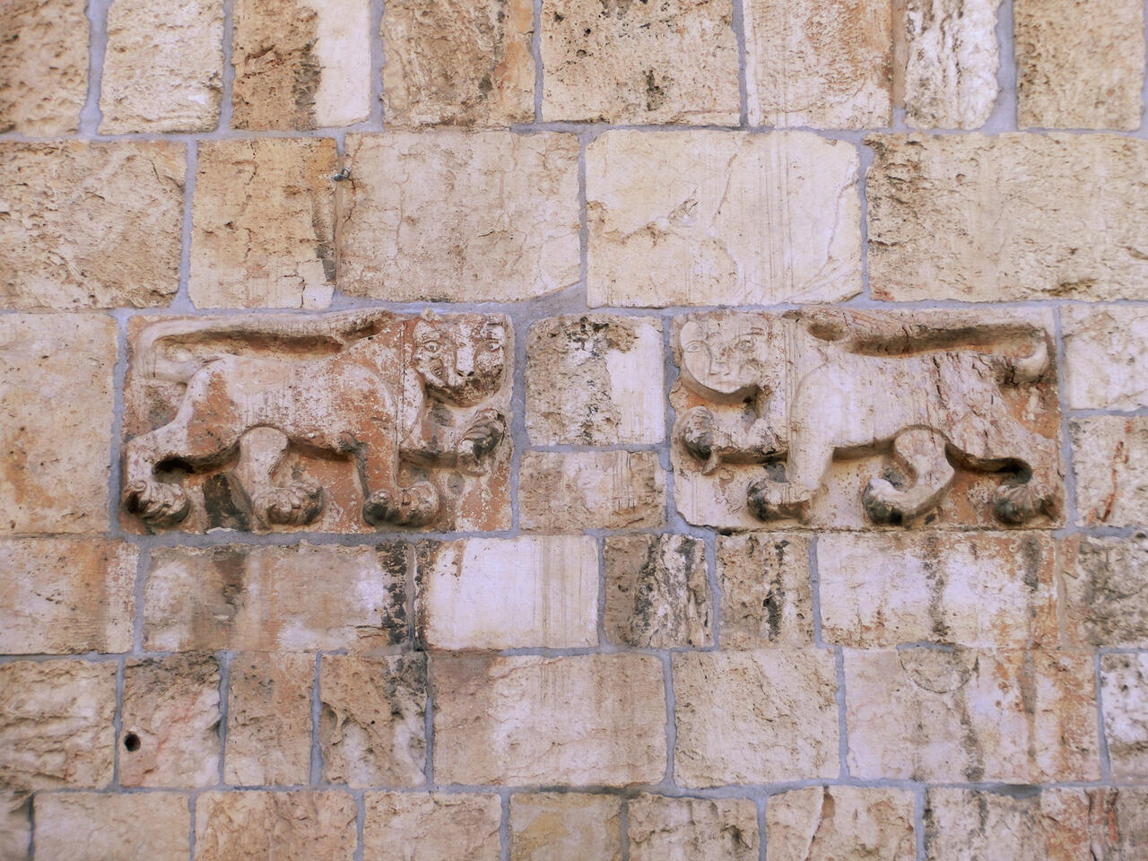 Lionsgate Jerusalem, 2016